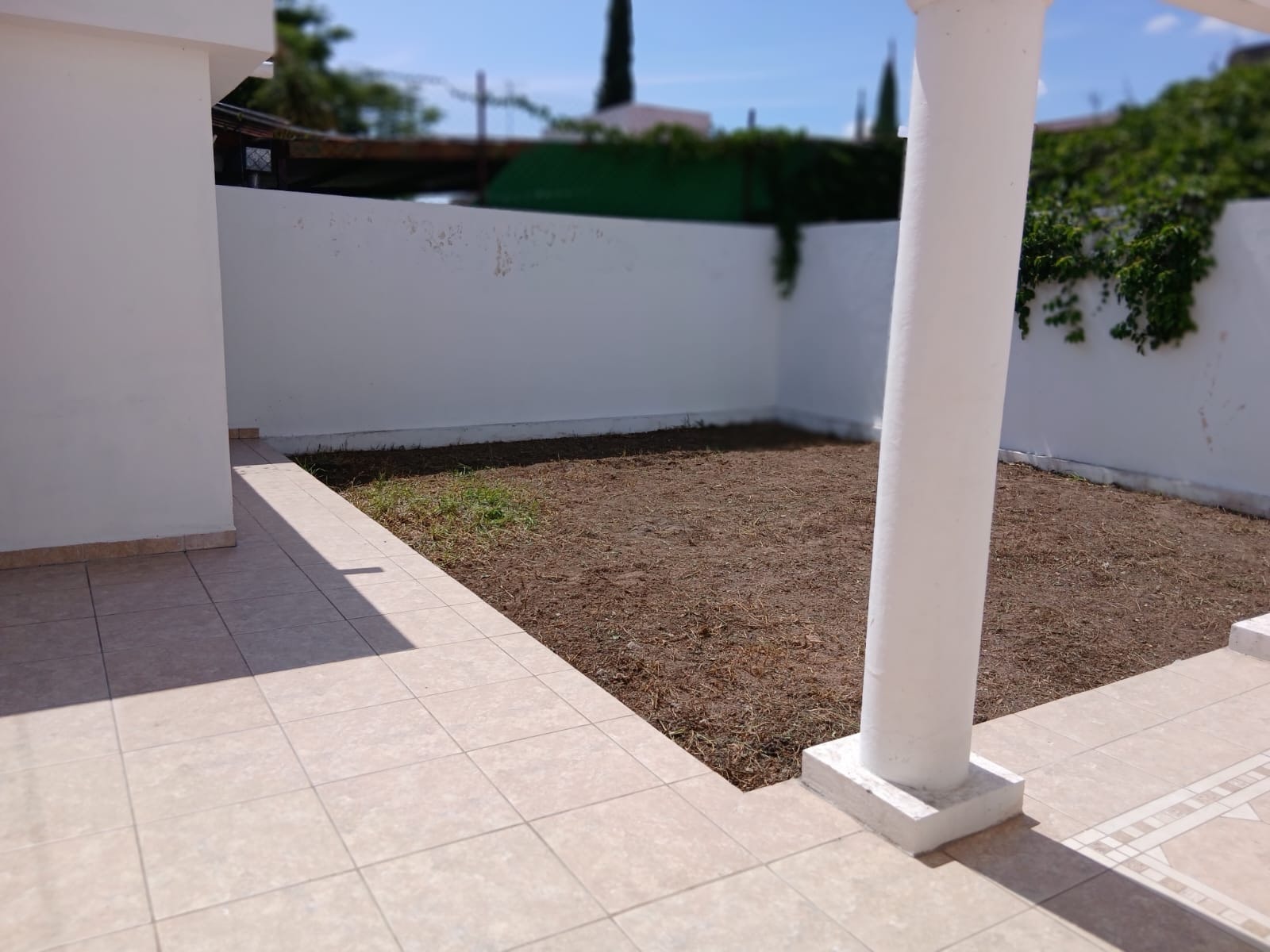Rear patio